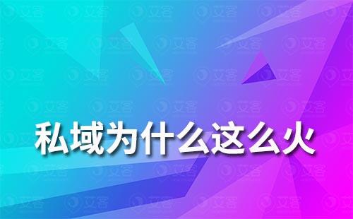 私域?yàn)槭裁催@么火