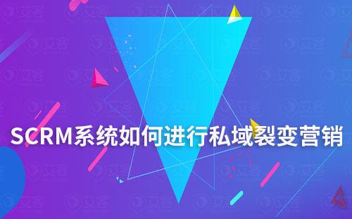 SCRM系統(tǒng)如何幫助企業(yè)進行私域裂變營銷